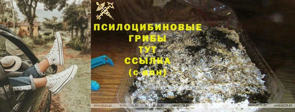 винт Алексеевка