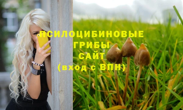 винт Алексеевка