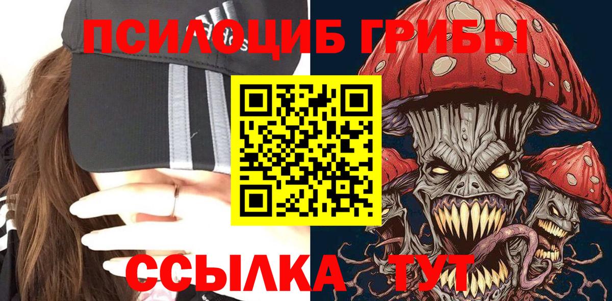 Псилоцибиновые грибы Psilocybine cubensis  Вход с VPN  Лениногорск 